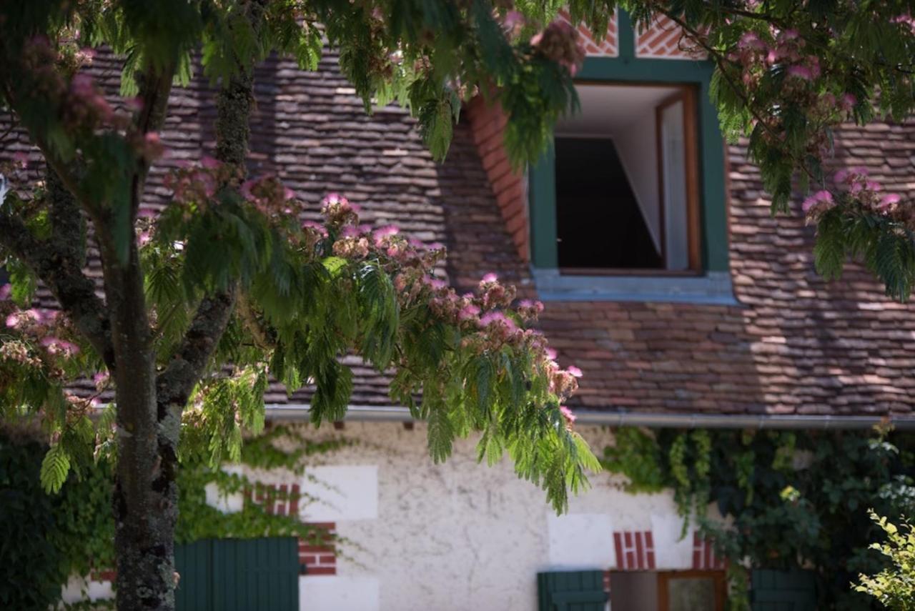 La Demalerie Bed & Breakfast Cheverny Dış mekan fotoğraf